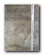 Click to enlarge this image